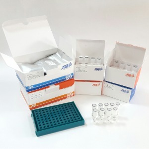 Real-Time PCR 제품군(Real-Time PCR Kit),(*) [PRODUCT_SUMMARY_DESC],(*) [PRODUCT_SIMPLE_DESC]